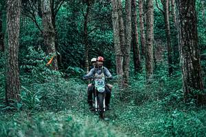 BIB: 
                            <button type="button" onclick="openModal(25238201)" class="btn btn-primary btn-sm float-right btn-popup" data-toggle="modal" data-target=".modal-high-quality">
                        <i class="fas fa-shopping-cart"></i> Add to Cart
                    </button>
                                            <button type="button" onclick="isThisMe(25238201, true)" class="btn btn-success btn-sm float-right btn-popup btn-isme hidden" data-toggle="tooltip" data-placement="bottom" title="นี่คือรูปของคุณใช่ไหม คลิกที่นี่เพื่อเอาเข้าอัลบั้ม">
                        <i class="fas fa-plus"></i> Add to album
                    </button>
                    <button type="button" onclick="isThisMe(25238201, false)" class="btn btn-warning btn-sm float-right btn-popup btn-isnotme hidden">
                        <i class="fas fa-ban"></i> Remove from album
                    </button>